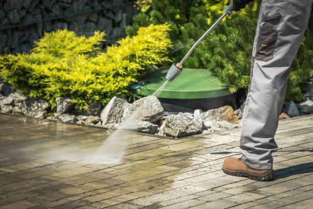Best Soft Washing  in Kelso, WA