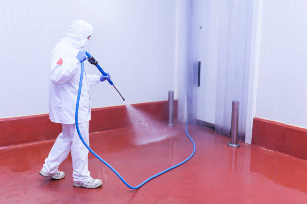  Kelso, WA Pressure Washing Pros