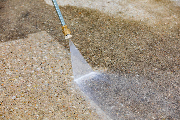 Best Pre-Holiday Cleaning  in Kelso, WA